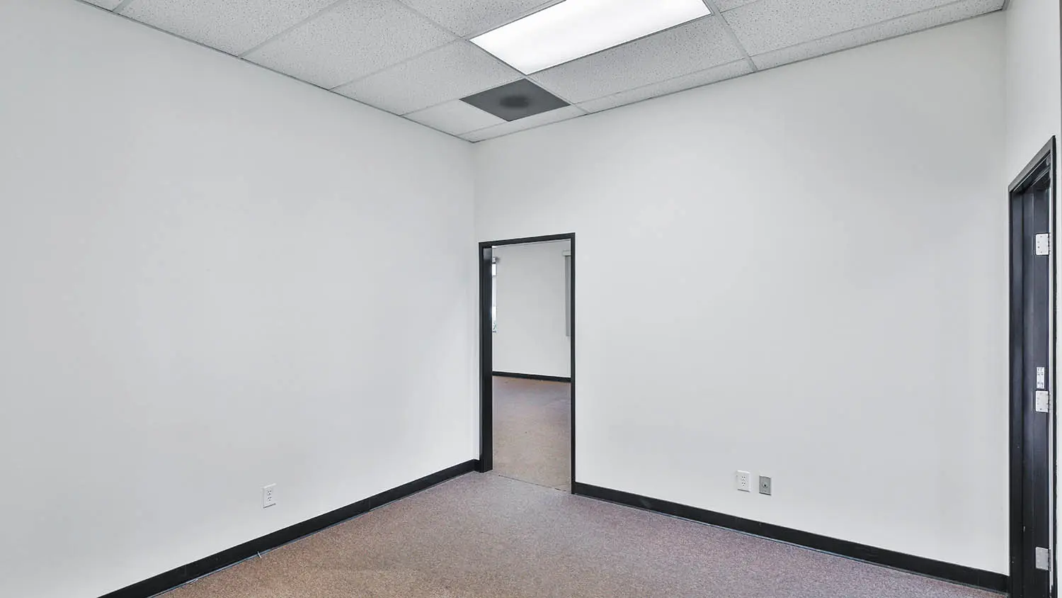 https://lewisofficeindustrial.com/wp-content/uploads/2026/07/4B9A5895-1024x576.jpg